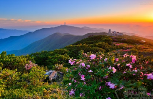 청주-소백산-축제