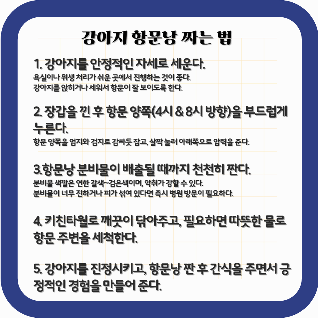 항문낭짜기