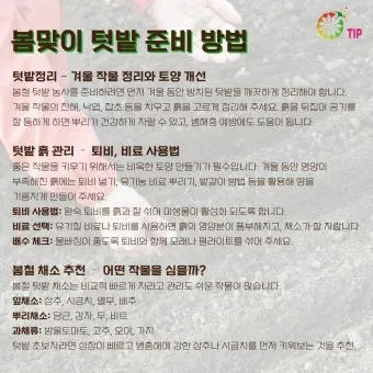 봄 텃밭 준비 토양 갈기 석회 퇴비 잡초 씨 제거_10