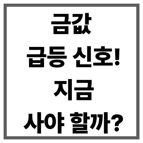 향후 금값 전망 체크해보세요