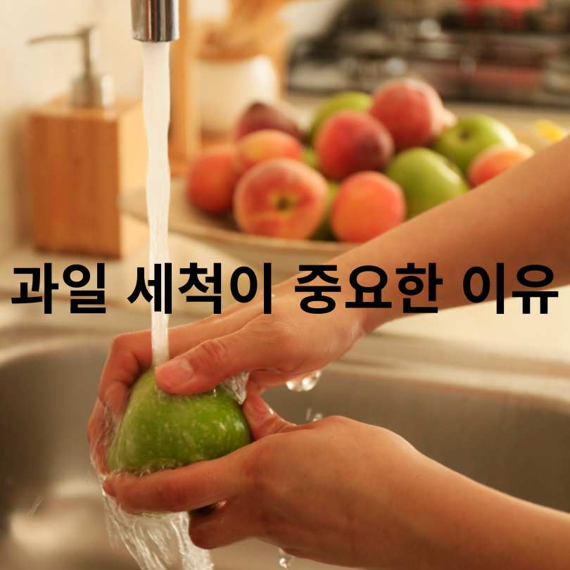 과일별 세척법 총정리