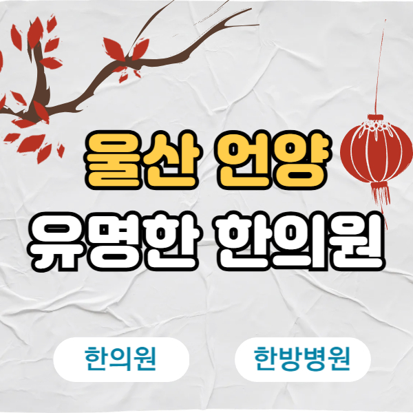 울산 울주군 언양읍 한의원 추천 TOP5 양심 한의원 유명한 곳