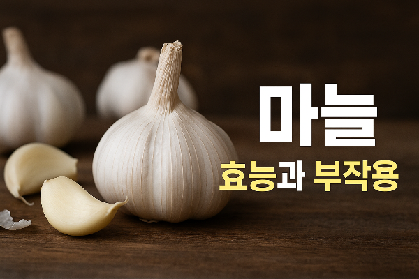 마늘의 효능과 부작용 및 종류별 차이 총정리