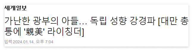 대만선거