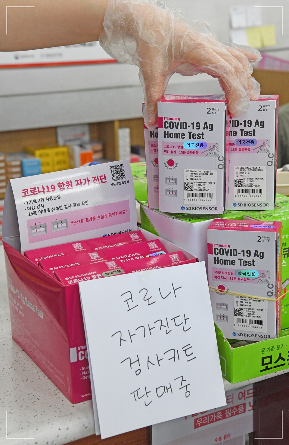 자가진단키트 가격