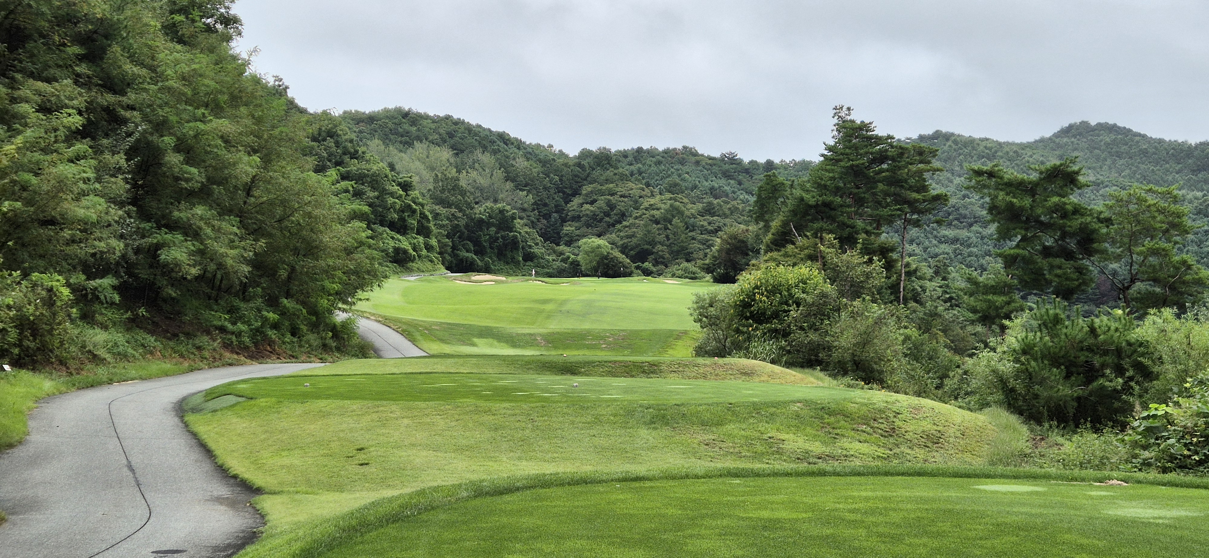 더플레이어스cc