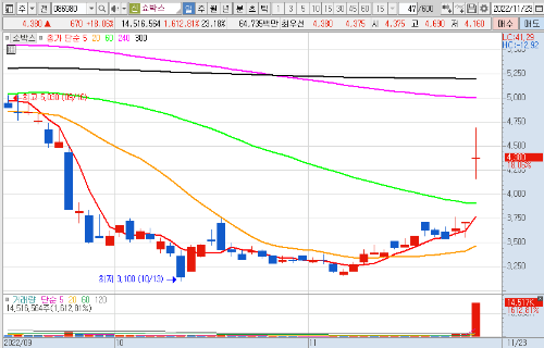 쇼박스 일 차트