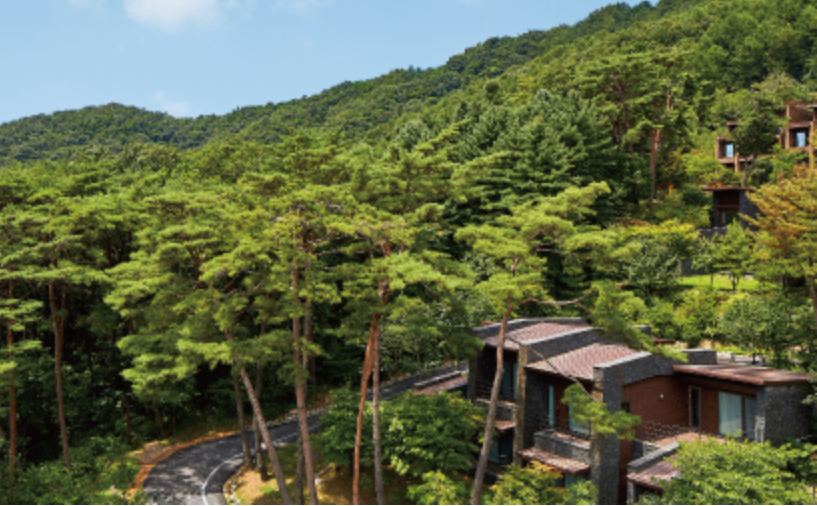 리솜포레스트 맛집