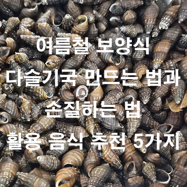 여름철 보양식 다슬기국 만드는 법과 손질하는 법 활용 음식 추천 5가지