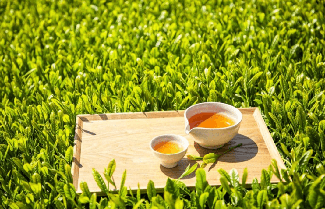 5월 경상도 여행 추천 가볼만한 곳&amp;#44; 축제 일정 