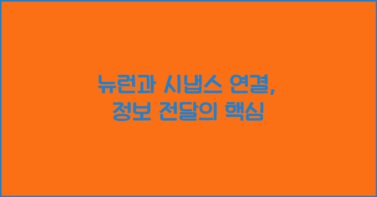 뉴런과 시냅스 연결