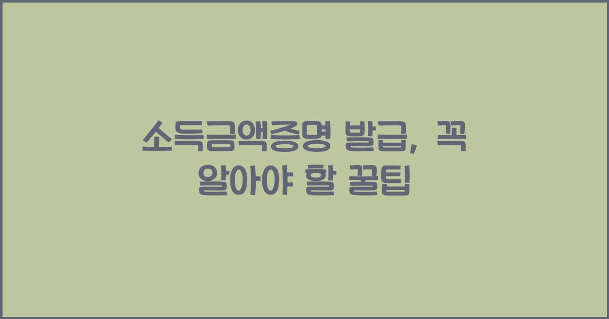 소득금액증명 발급