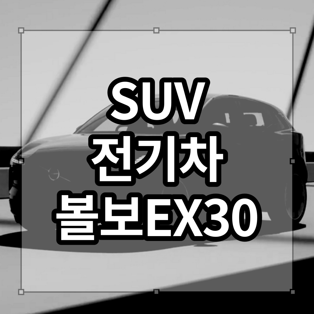 볼보 EX30