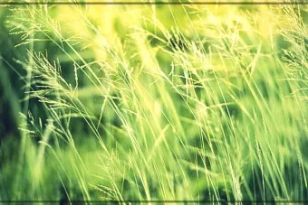 이웃 인사 첫 만남 멘트 명함 건네는 말투 센스 키우기_13