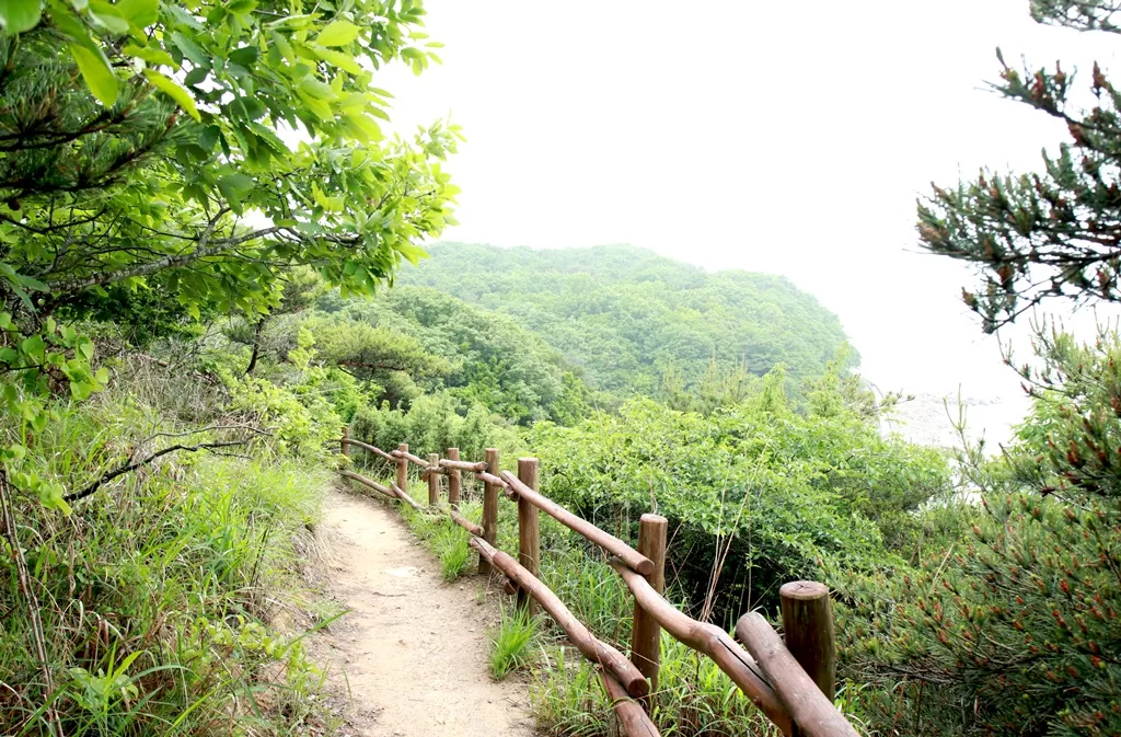 제1, 2 해안 둘레길 중간 지점의 평온한 해안길.