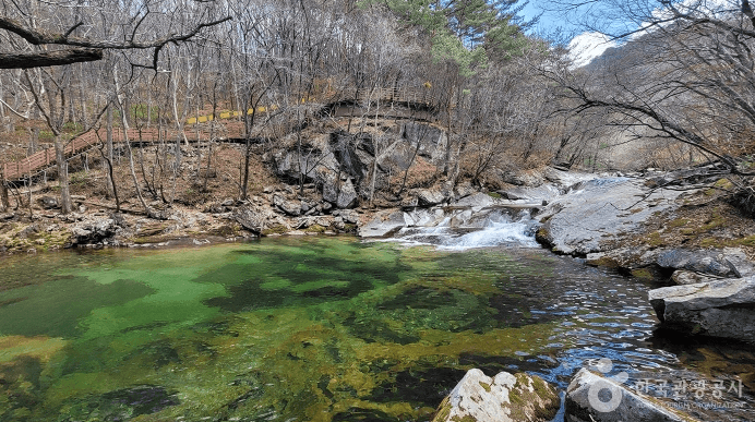 구천동계곡