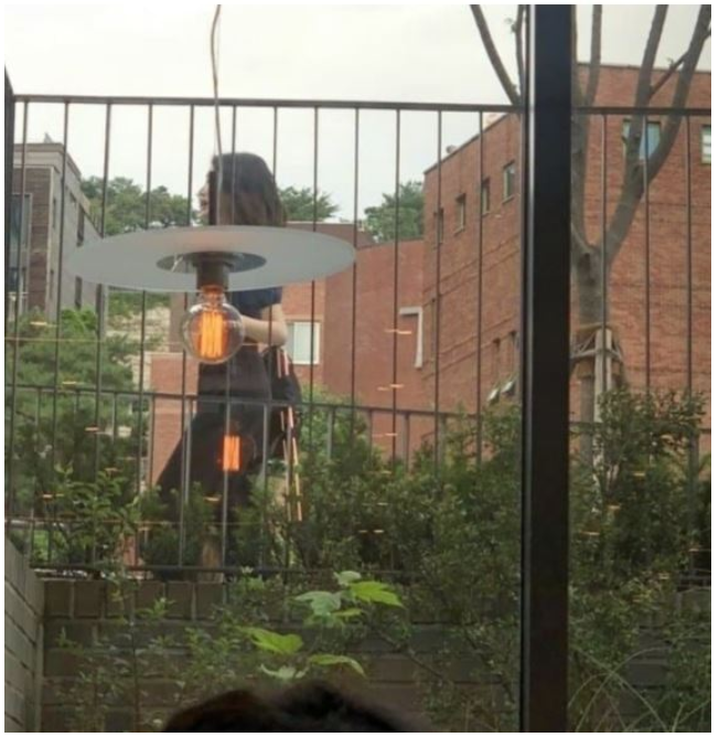 이유비