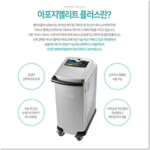 아포지 엘리트 플러스 후기