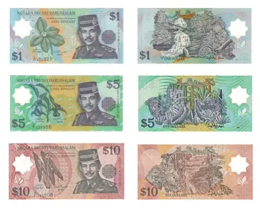 브루나이 달러 지폐 종류