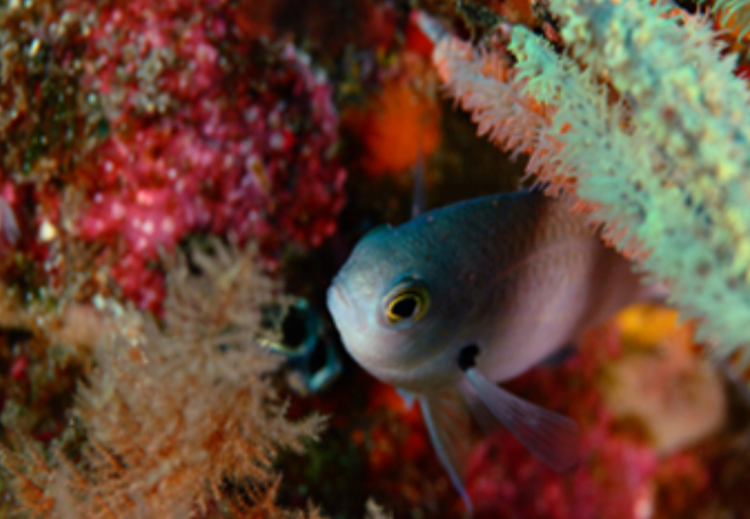 울진 아쿠아리움