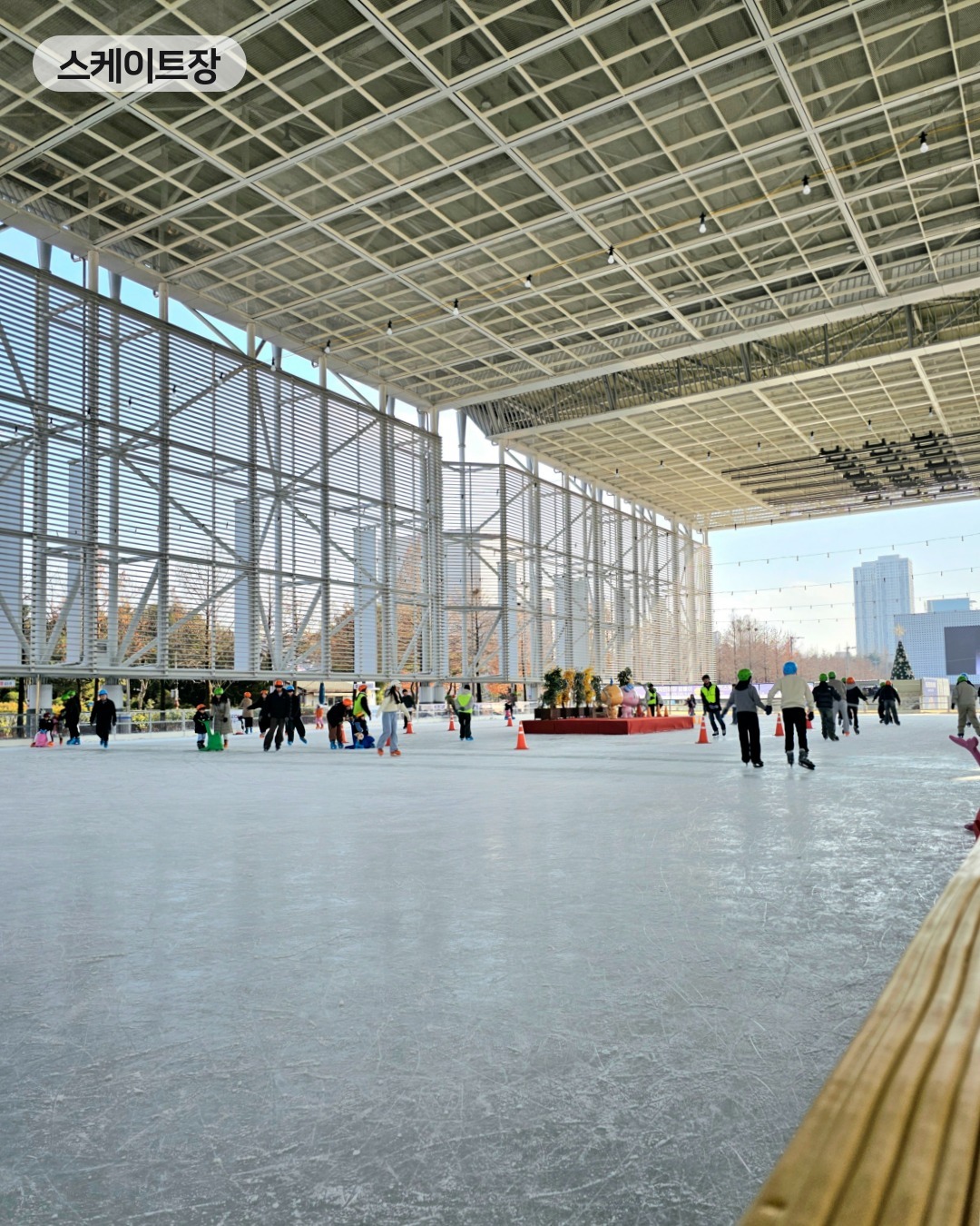 대전 엑스포 스케이트장