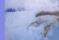 헬스장 소득공제 가능? 문화비 소득공제 받기! 2025년 7월부터 시작