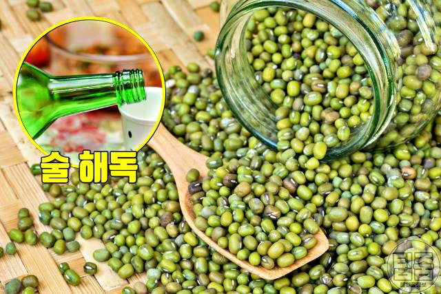 술 해독에 좋은 음식,약물 해독에 좋은 음식 녹두