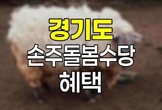경기도 손주돌봄수당, 가족 친화적 복지 정책의 핵심
