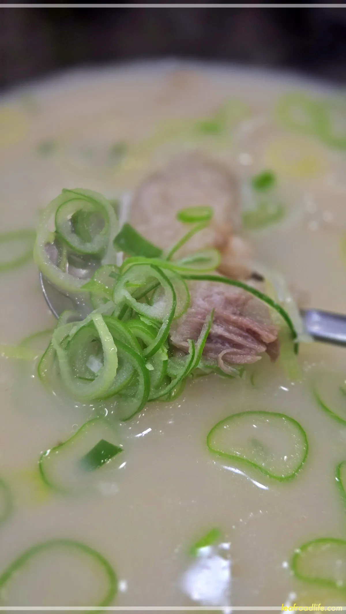 하남-푸주옥-무릎도가니탕-숟가락위에-도가니와-파