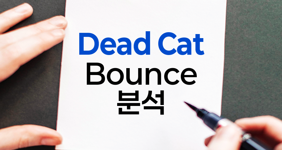 Dead Cat Bounce, 주식 시장의 함정과 기회