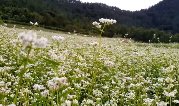 혼자만알고싶은여행지