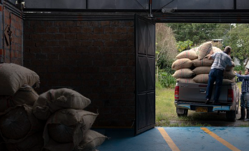 흰콩 파종시기와 거름 주는 방법 알아보기 1