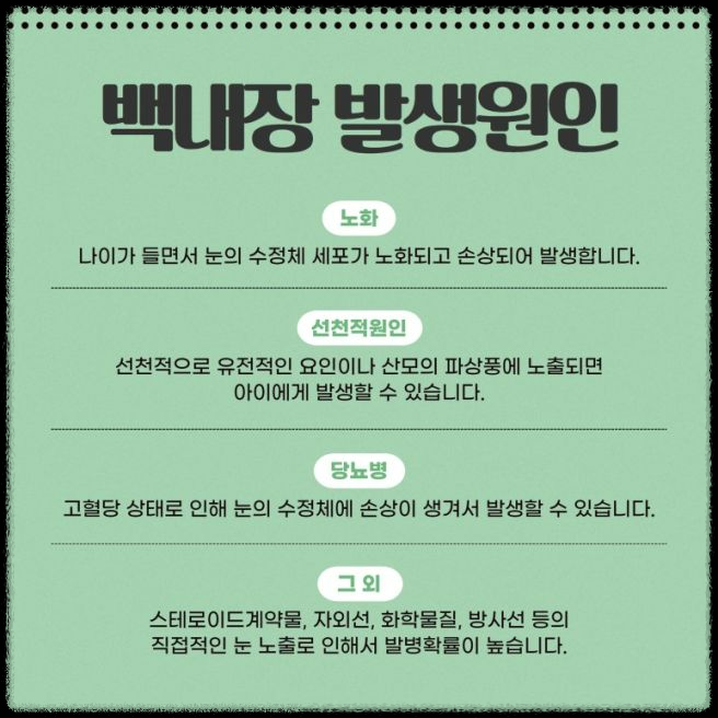 눈으로 보는 건강 신호: 갑상선저하증부터 폐암까지 안질환 증상 파헤치기