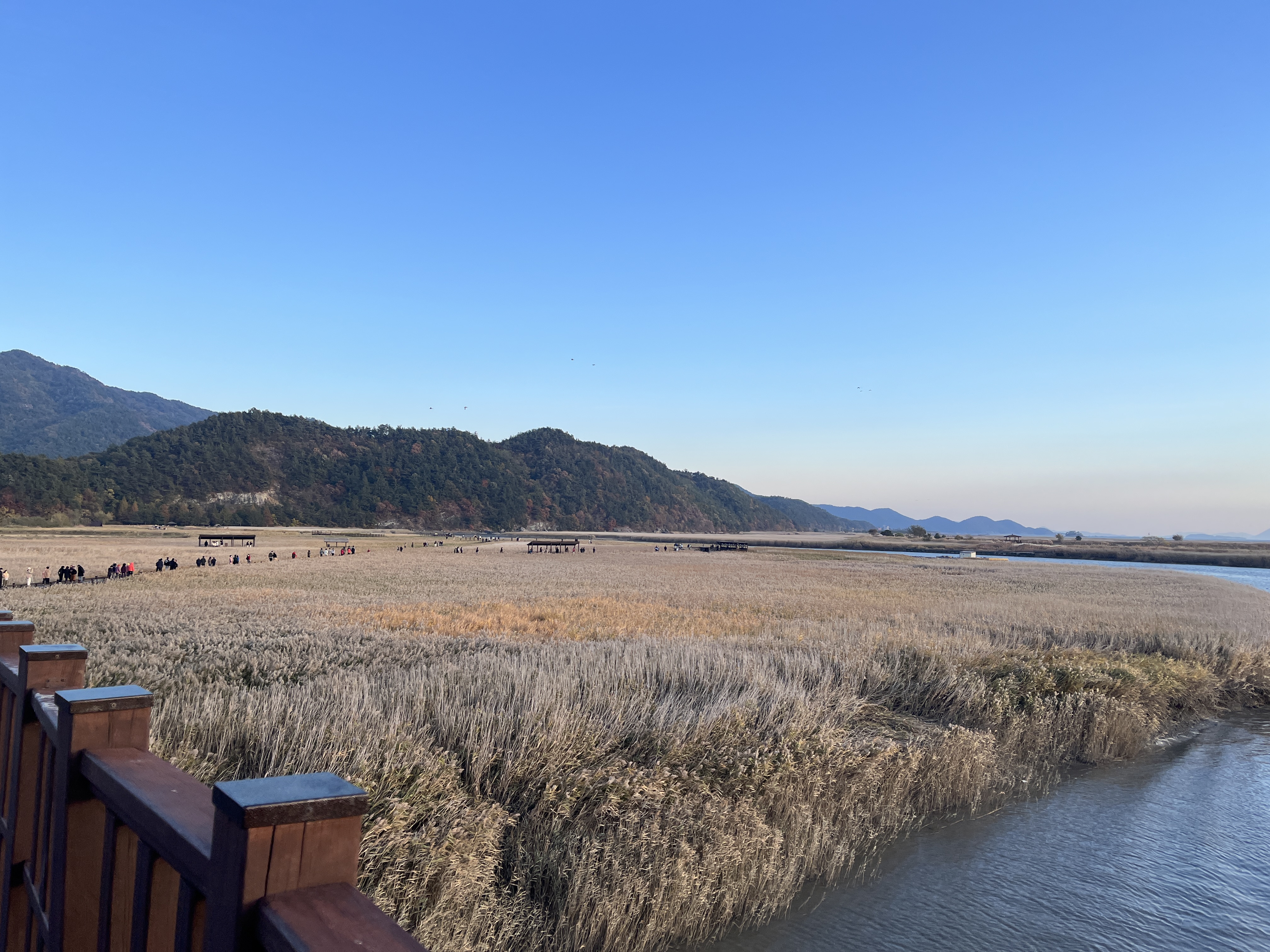 순천 여행 숙소 리조트 추천