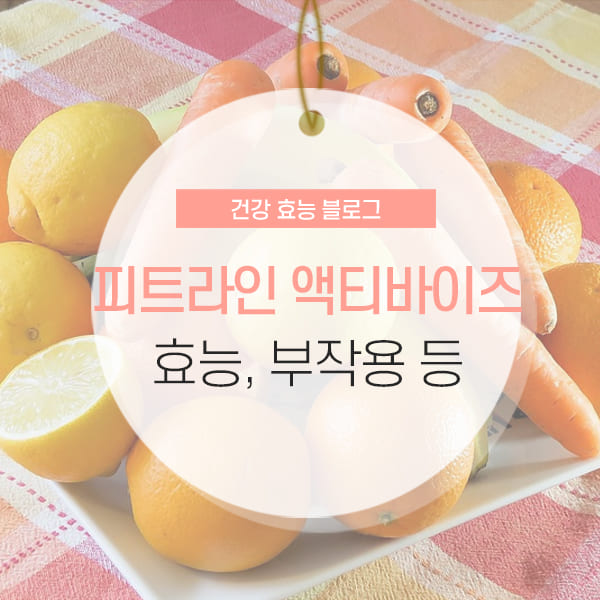 피트라인 액티바이즈 효능 및 부작용 소개 콘텐츠