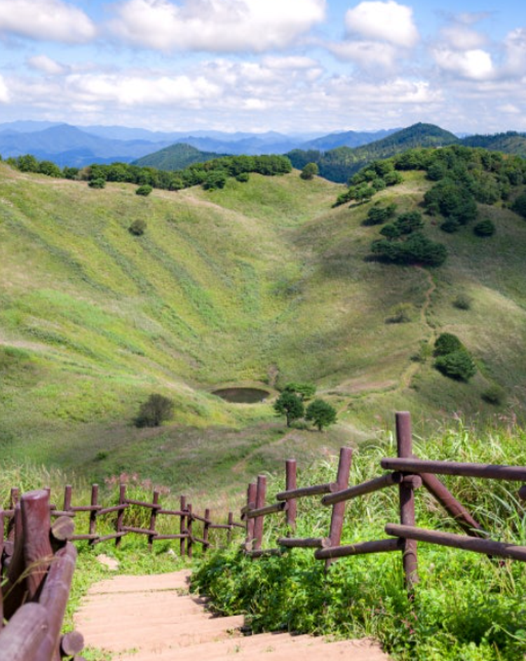 민둥산 억새꽃축제