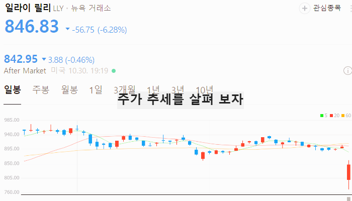 미국 비만치료제 관련주 대장주 테마주 TOP5