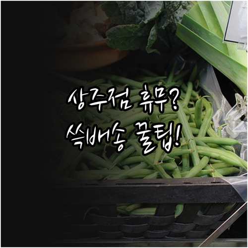 이마트 상주점 3월 수요일 휴무일과 ..