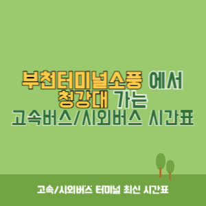 부천터미널소풍에서 청강대 가는 시외버스 시간표 최신정보