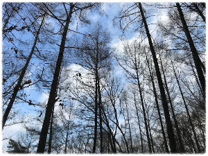지족산