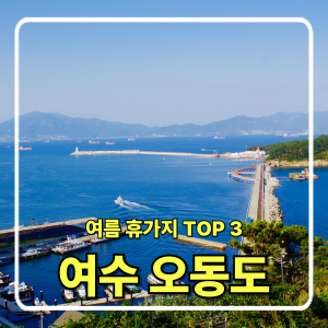 올여름 꼭 가봐야 할 국내 여름 휴가지 TOP 5