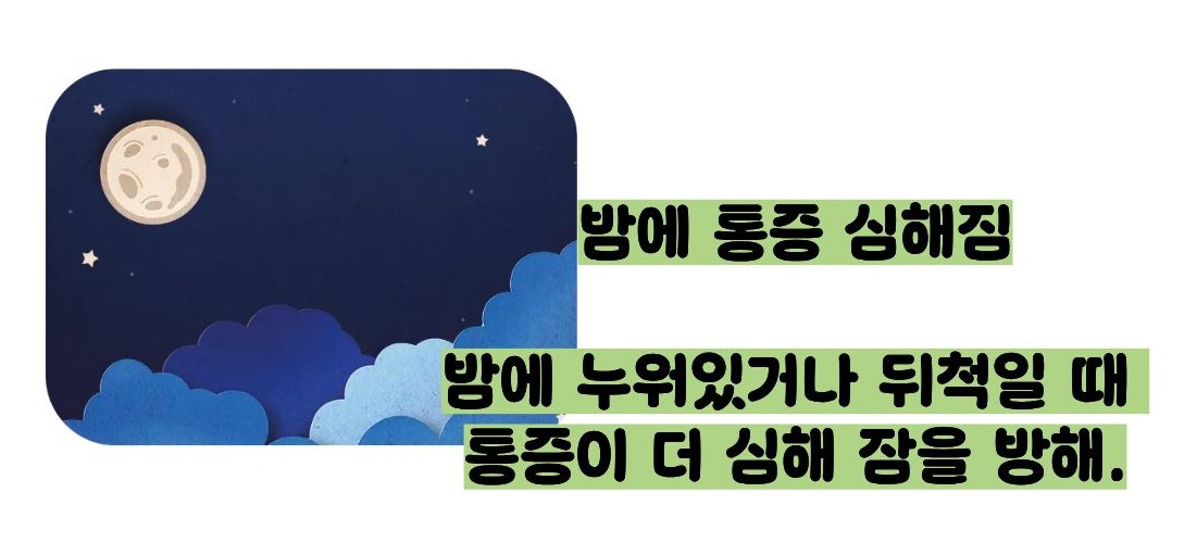 추간판 탈출증 증상