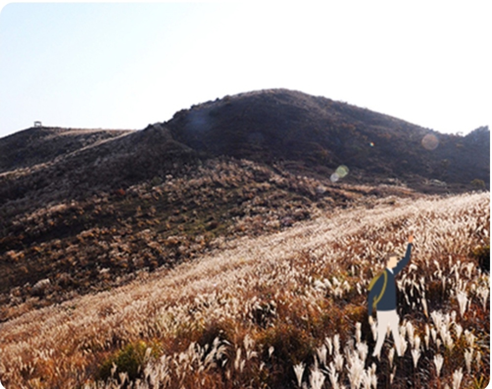 황매산 억새축제