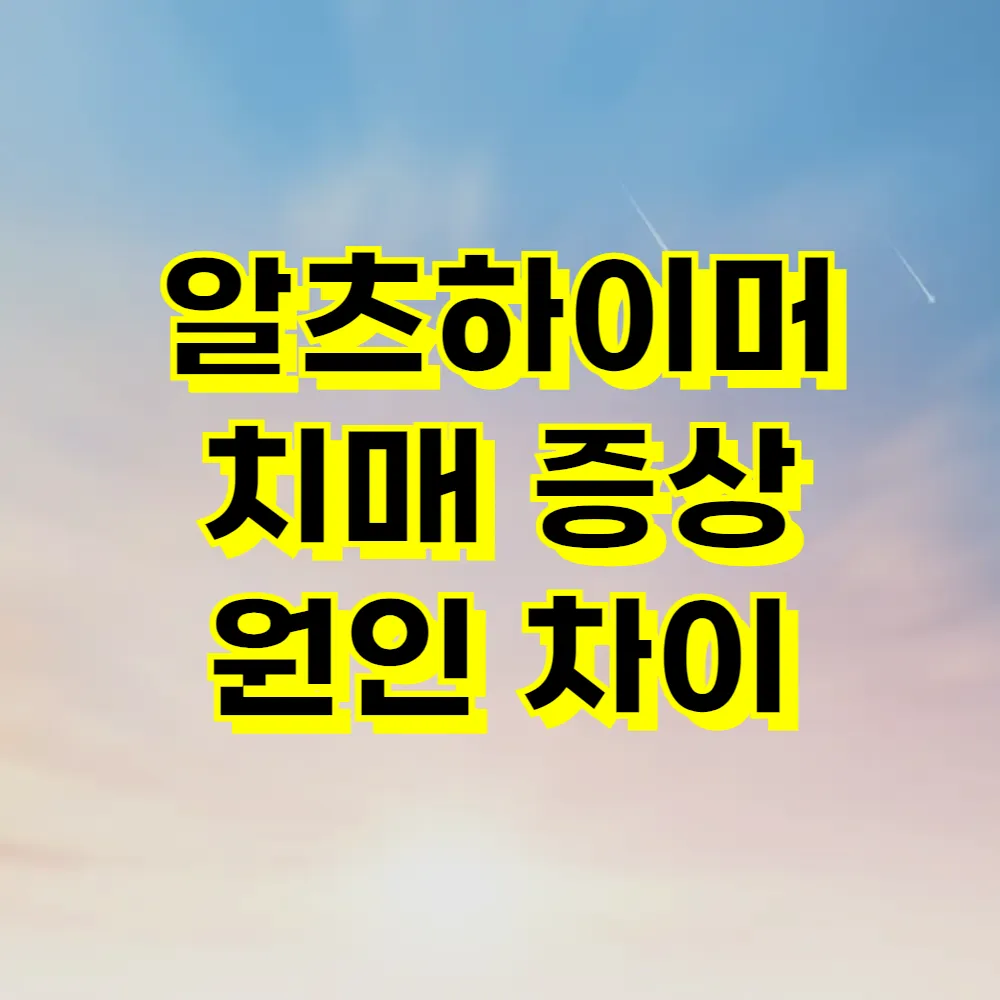 알츠하이머 치매 증상 원인 차이
