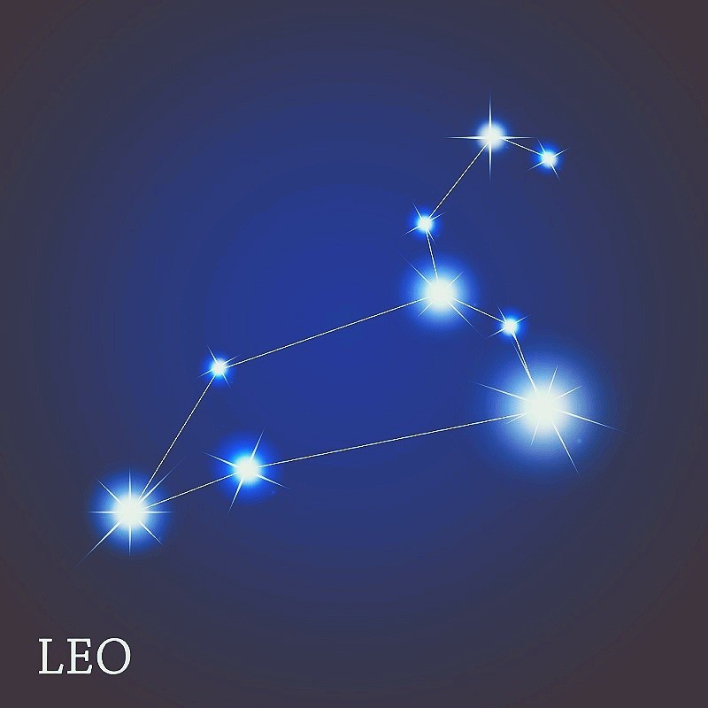 사자자리 레오 이미지