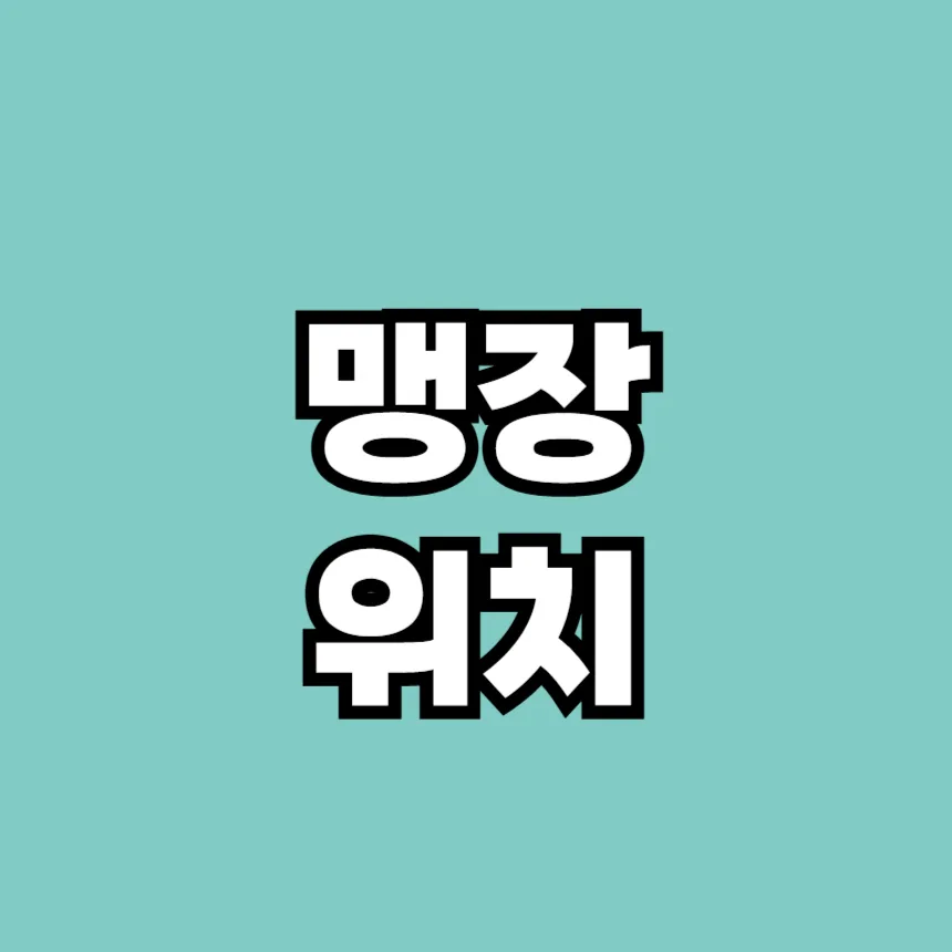 맹장 위치