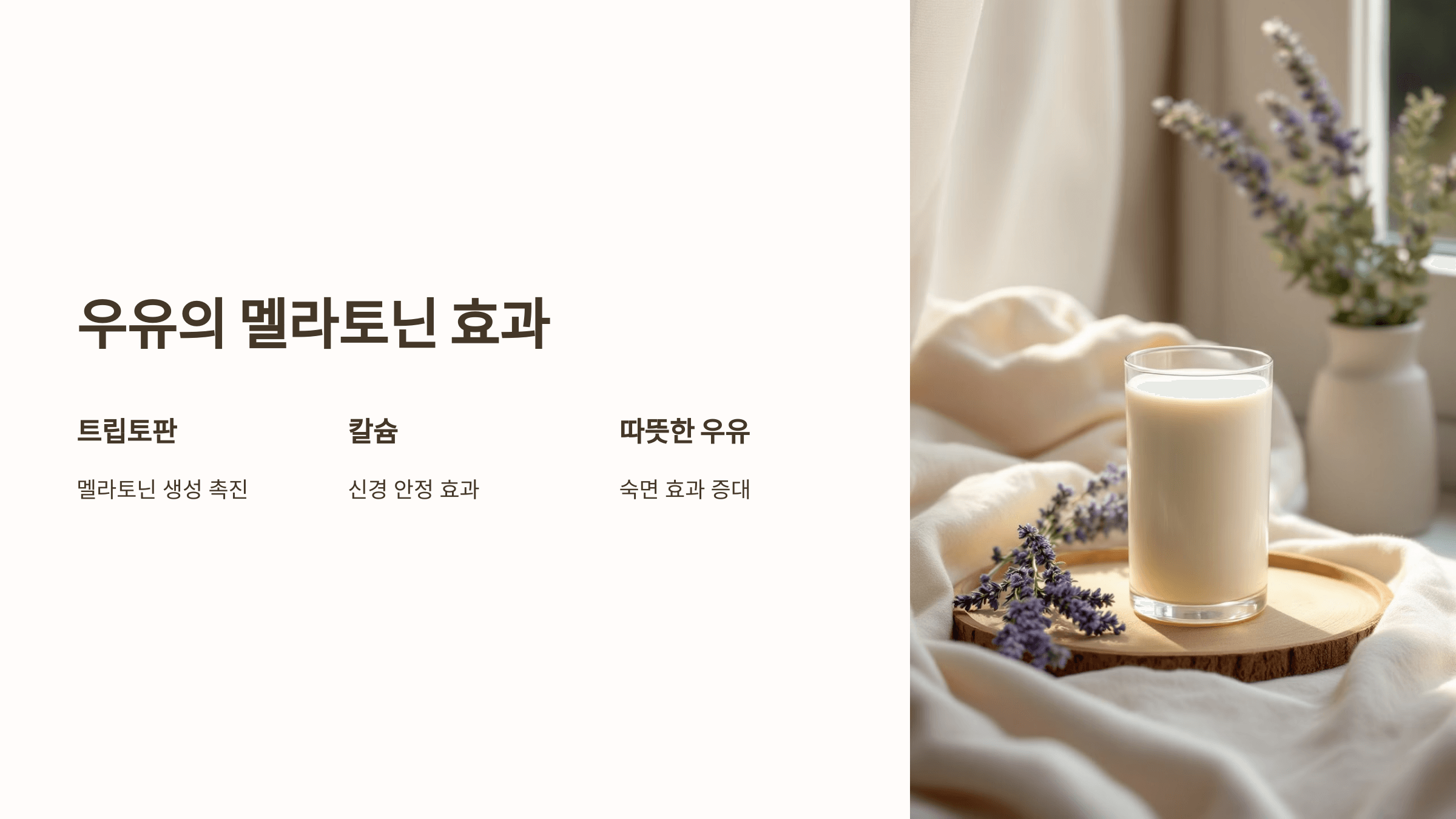 멜라토닌과 관련된 사진입니다.