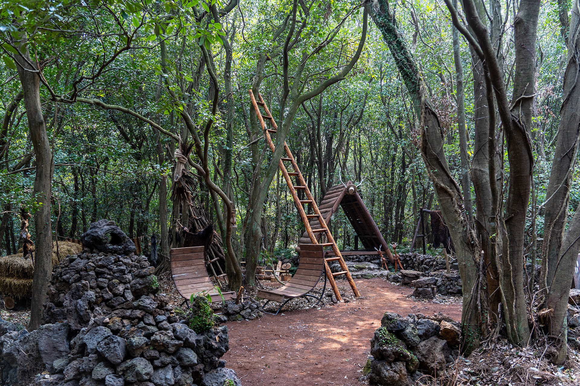 산양큰엉곶(산양곶자왈)