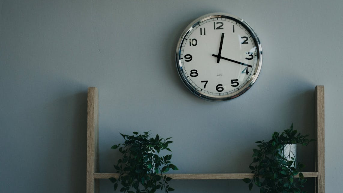 회색 벽에 걸린 둥근 은색 아날로그 벽시계와 그 아래 나무 선반 위 두 개의 실내 식물.