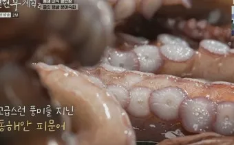 전현무계획2 문어숙회 수제비 골뱅이 맛집 위치 안내_19